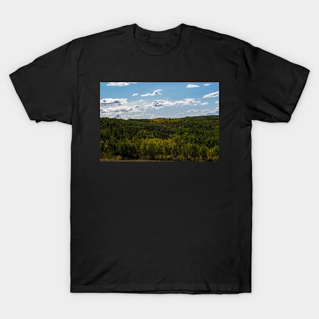 Fall in the foothills T-Shirt by CanadianWild418